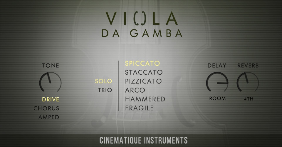 5296-viola-da-gamba-1.jpg