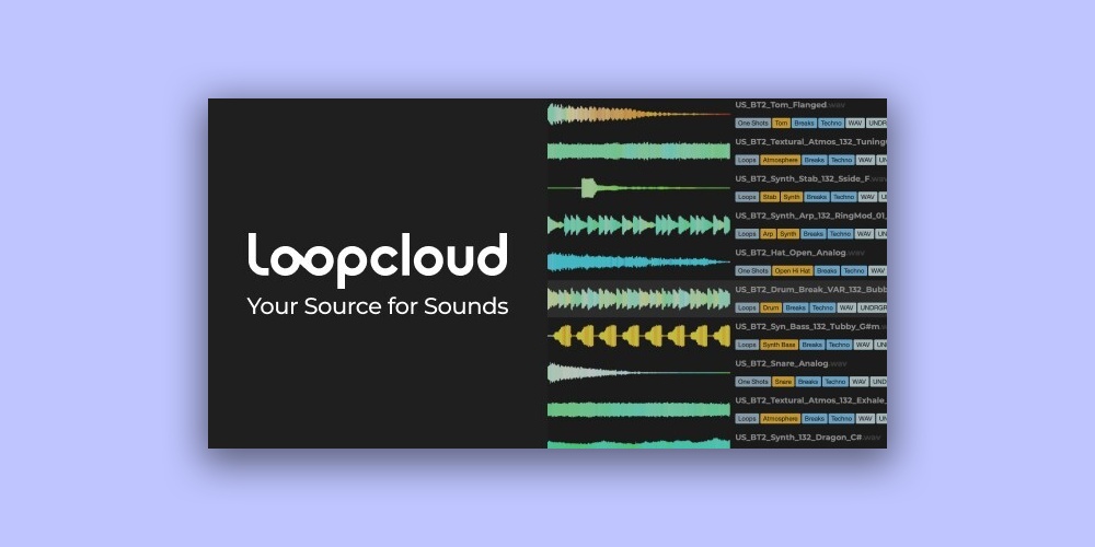 Loopcloud 3-Month Artist Plan
