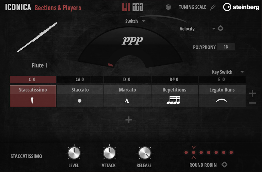 Iconica Sections & Players