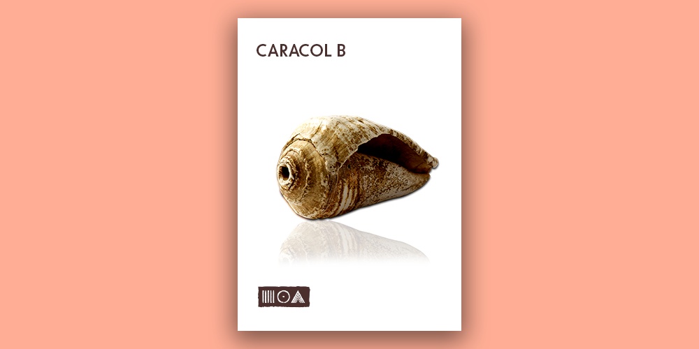 Caracol B