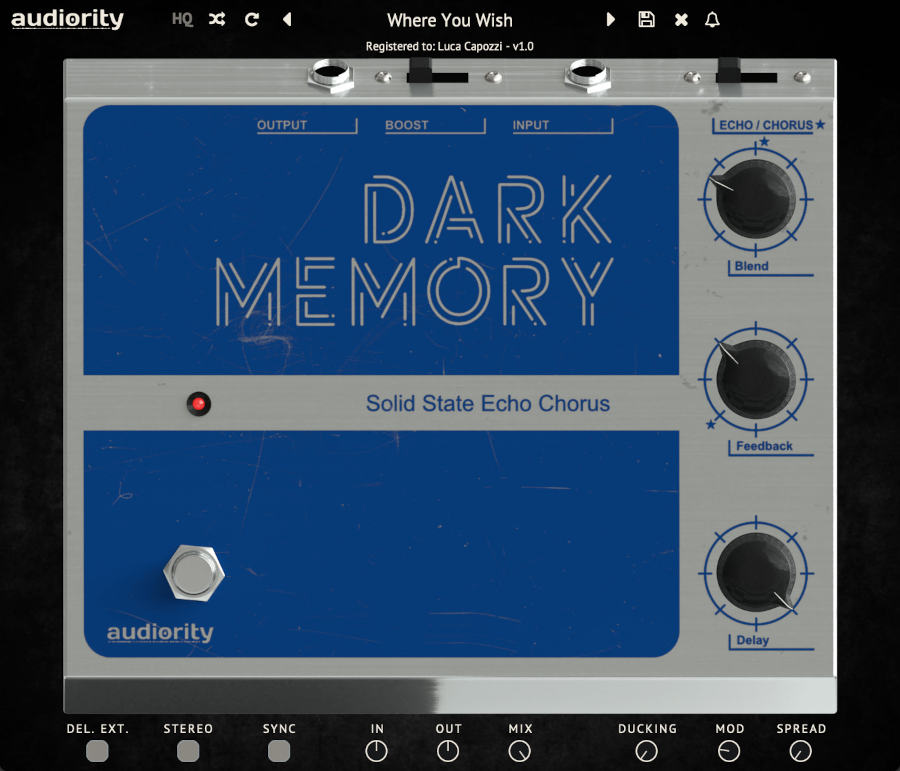 Dark Memory